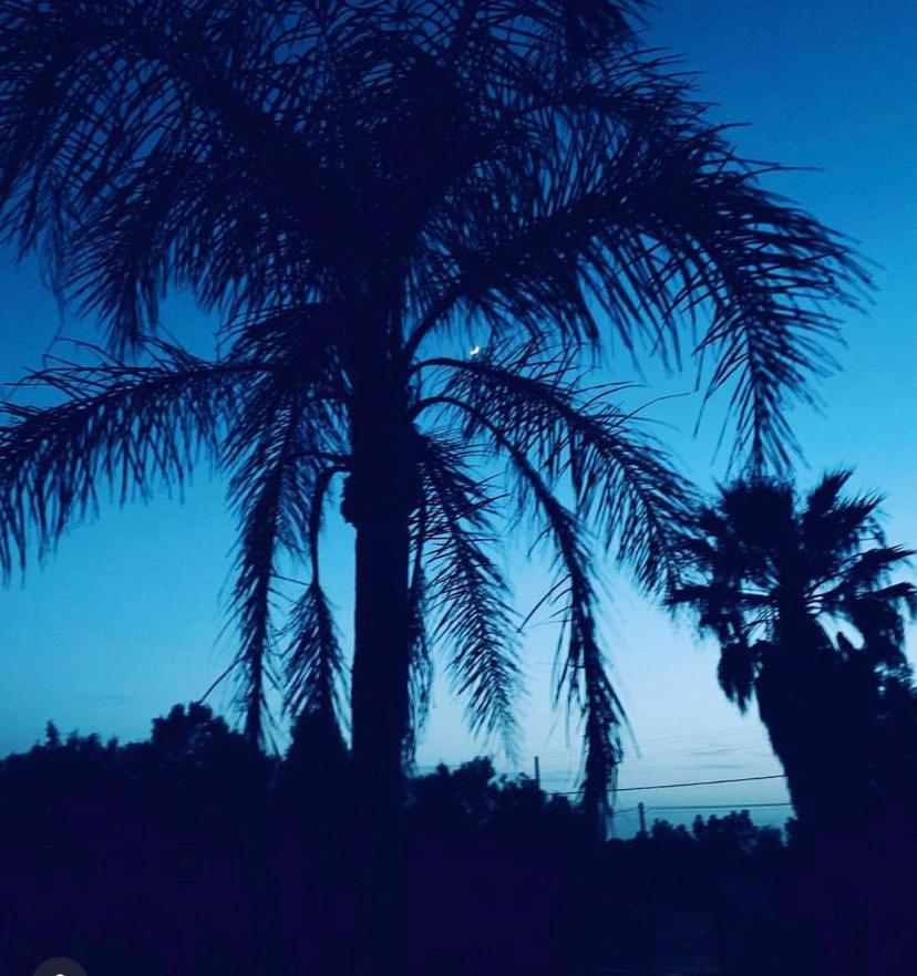 Villa Sarda アッセミニ エクステリア 写真